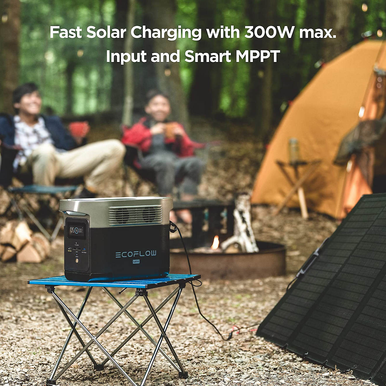 EcoFlow Delta Mini 882W Portable Power Station