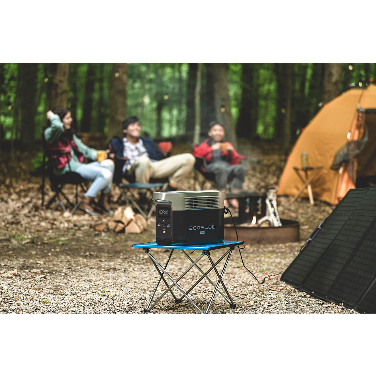 EcoFlow Delta Mini 882W Portable Power Station