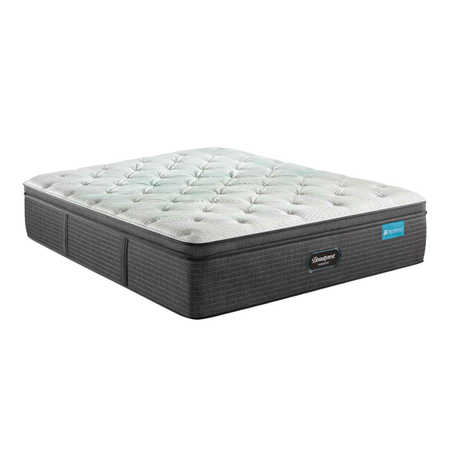 Beautyrest plush pillow shop top