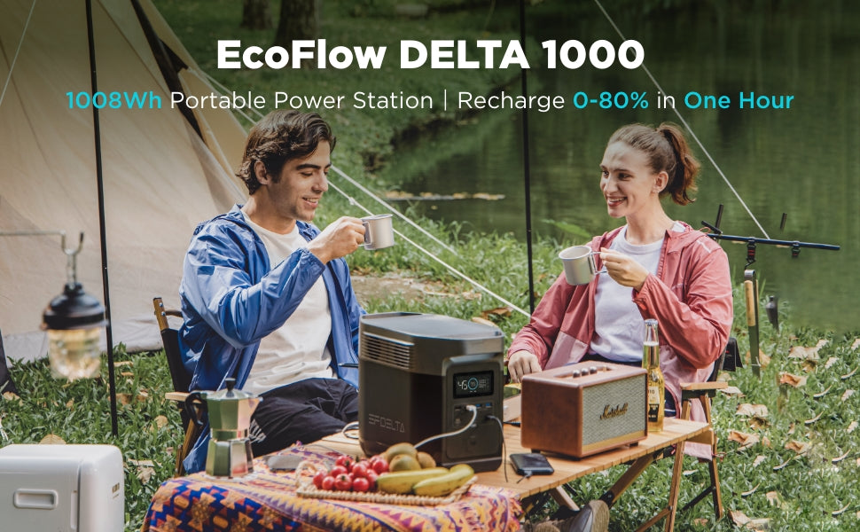 EcoFlow DELTA 1000 Portable Power Station 1008Wh Certified Used